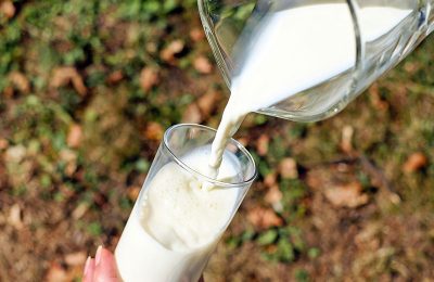 Каргатский район — в тройке областных лидеров по производству молока