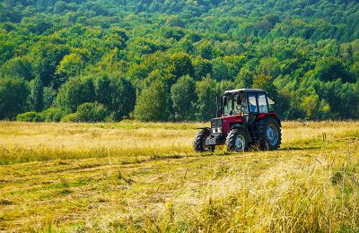 Меры поддержки аграриев, запас продовольствия и ценовая политика находятся на контроле Правительства Новосибирской области