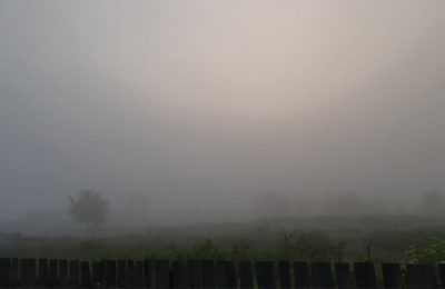 Густой туман окутал Каргат