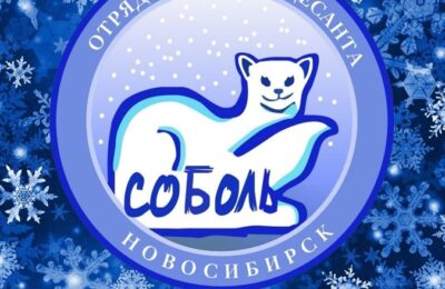 В Каргатском районе стартовала  Всероссийская патриотическая Акция «Снежный десант»