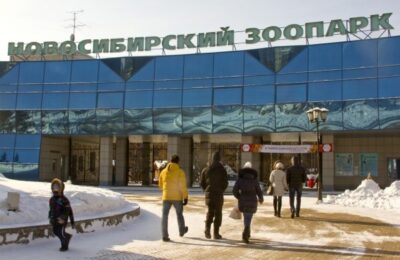 Бесплатно посетить Новосибирский зоопарк могут пенсионеры и инвалиды