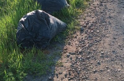 В Каргате с 1 июня изменится расписание вывоза мусора