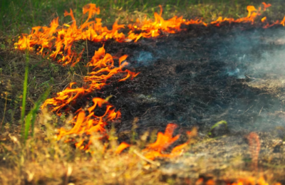 Ландшафтный пожар в Каргатском районе