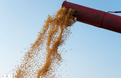 В Каргатском районе продолжается уборка зерновых культур