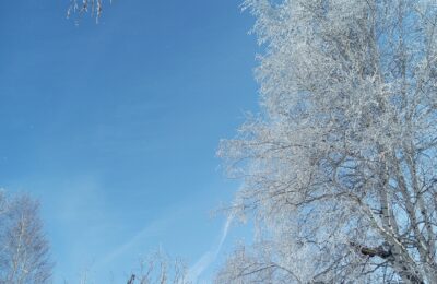 В Новосибирской области в сильный мороз дети могут не ходить в школу