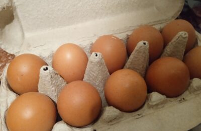 Куриные яйца в Новосибирской области продолжают дорожать!