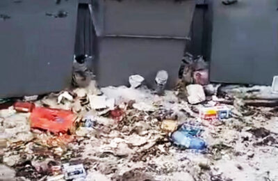 Каргатцам разъяснили правила уборки мусора