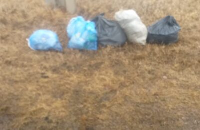 В одном из сёл каргатского района не вывозят мусор