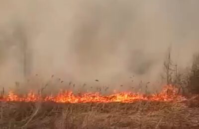 В Каргатском районе готовятся к пожароопасному сезону