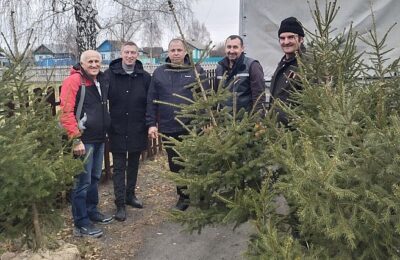 В Маршанке у Монумента Славы посадили ели и туи