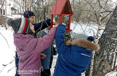 Школьники из Каргатского района  организовали и провели акцию для птиц