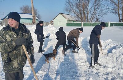 Волонтёры «Снежного десанта» помогли пожилым людям в Форпост-Каргате