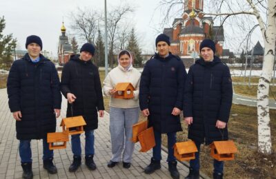 Кормушки для птиц появились в каргатском парке