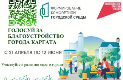 Каргатцы голосуют за объекты благоустройства
