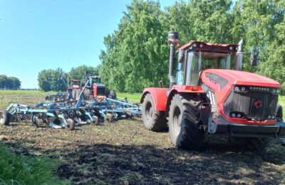 В Каргатском районе завершили посевную кампанию