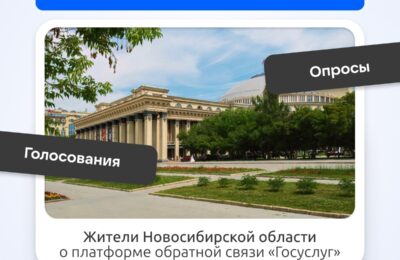 О платформе обратной связи рассказали каргатцам