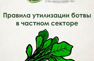 Каргатцам напомнили правила утилизации ботвы