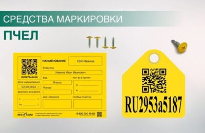 Управление ветеринарии Каргатского района напоминает о необходимости маркирования и учёта пчёл