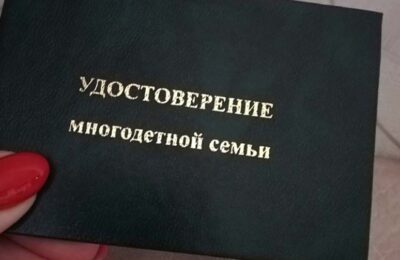 Многодетные семьи Каргатского района бесплатно посетят выставки
