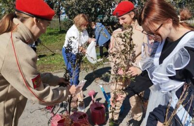 Ученики одной из школ Каргата приняли участие во Всероссийской акции «Рябины Победы 2025»