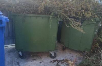 В Новосибирской области могут оштрафовать за складирование веток на контейнерной площадке