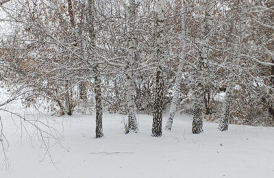 Каргатский район завалило снегом
