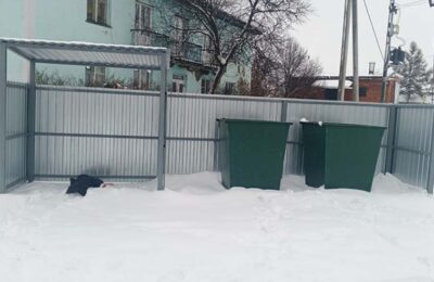 В Каргате устанавливают контейнерные площадки