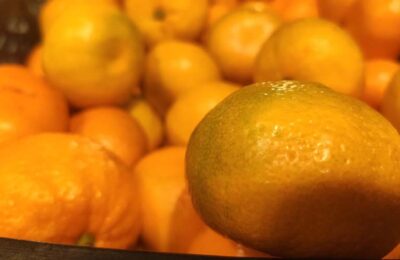 Гастроэнтеролог рассказала жителям Новосибирской области о рисках от переедания мандаринов