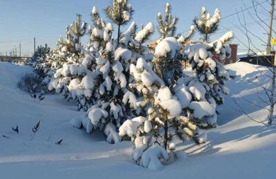 Роспотребнадзор назвал правила гардероба в сильные морозы