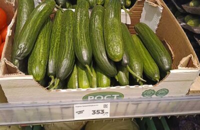 В Каргате подорожали огурцы