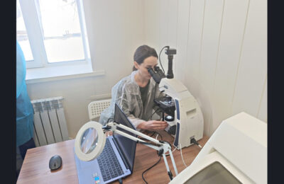 Новосибирские учёные разработали ИИ для мониторинга болезней растений