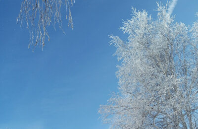 Какие основные опасности представляют морозы для человека и как от них защититься