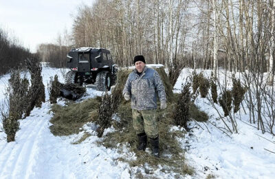 В каргатском охотобществе рассказали о зимовке лесного зверья