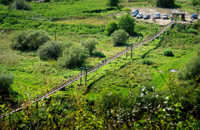 Путешествие по Новосибири: откройте природу Маслянино