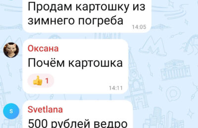 Элитной картошкой торгуют в Каргате