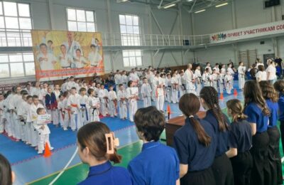 В Каргате состоялся региональный турнир по каратэ киокушинкай