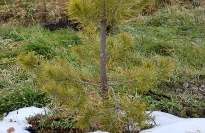 В Каргате почистили водоотводные каналы