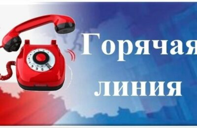 В Каргатском районе в рамках празднования Дня семьи, любви и верности пройдут консультации о защите семейных прав