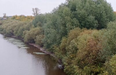 В Каргате ожидаются дожди