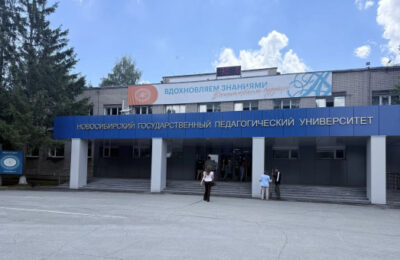 Первокурсники Новосибирской области выбрали целевое обучение по педагогическим специальностям
