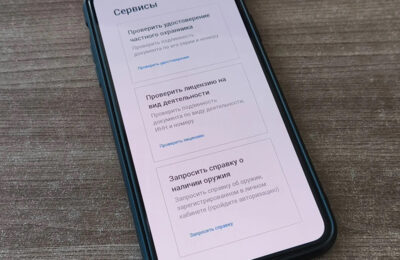 Новосибирцы могут получить справку о наличии или отсутствии оружия дистанционно